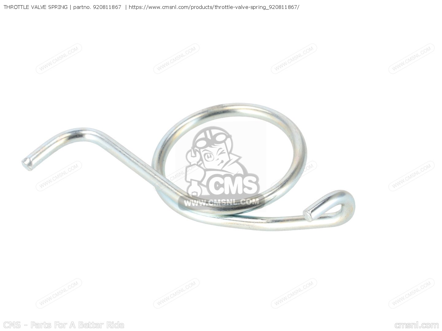 920811867 Throttle Valve Spring Kawasaki buy the 920811867 at CMSNL