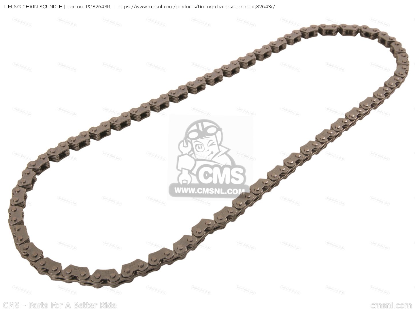 PG82643R Timing Chain Soundle Piaggio Group buy the 82643R at CMSNL