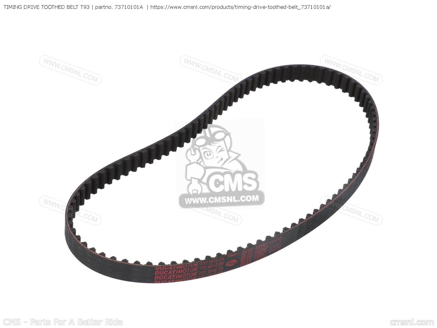 73710101A Timing Drive Toothed Belt T93 Ducati buy the 73710101A at