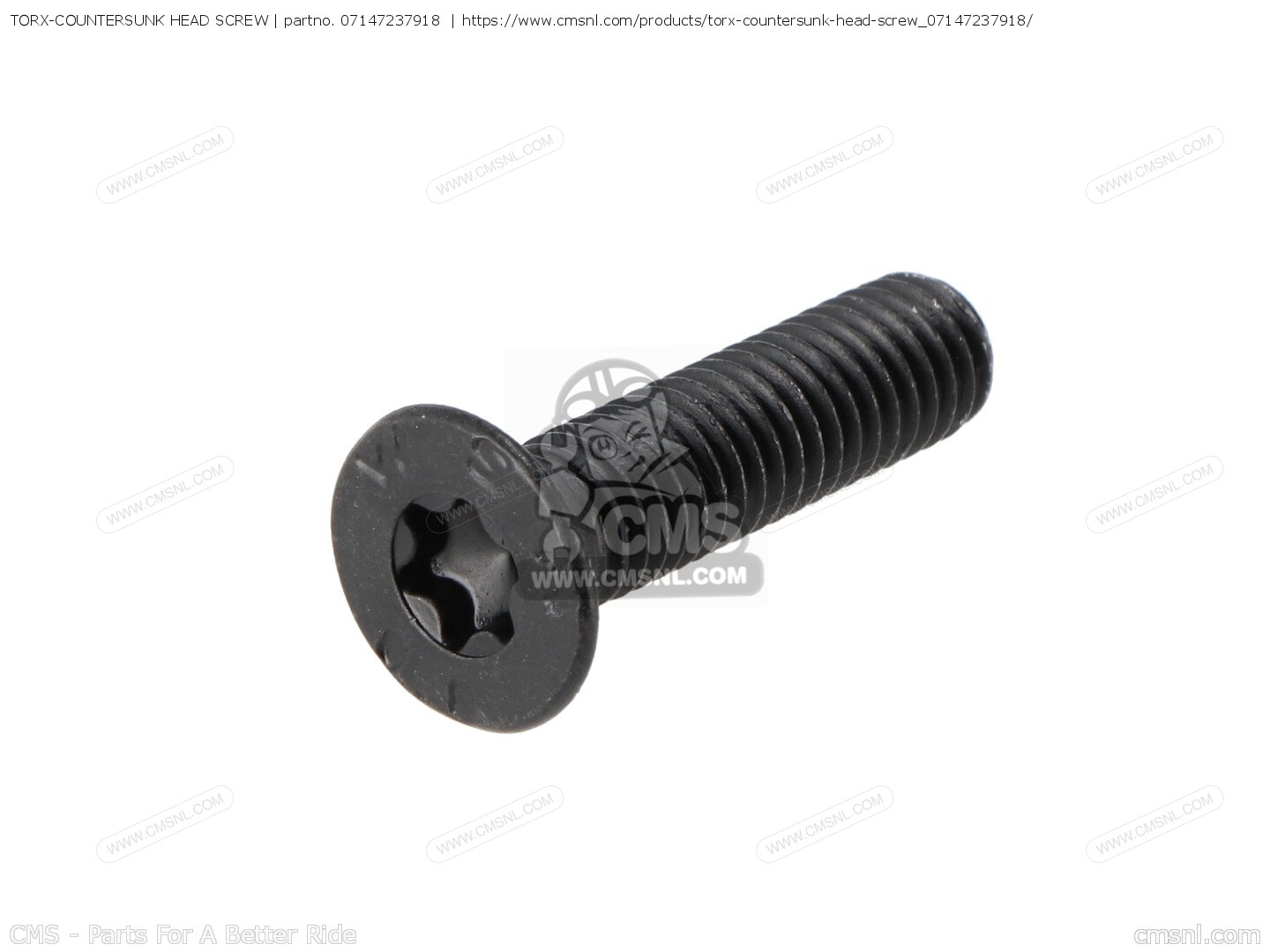 TORX-COUNTERSUNK HEAD SCREW za BMW - zamówienie w CMSNL