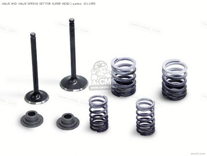 Valve And Valve Spring Set For Super Head photo