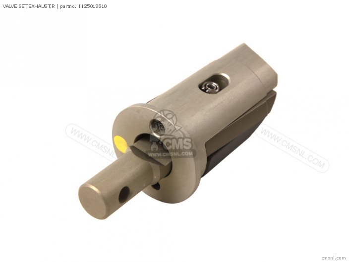 Suzuki VALVE SET,EXHAUST,R 1125019810