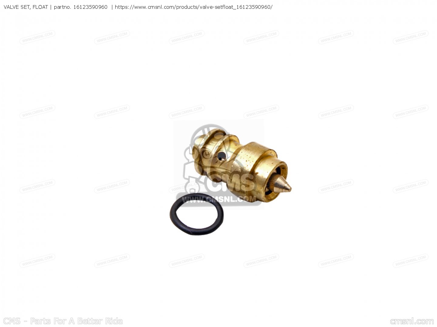 VALVE SET, FLOAT for N1300 COUPE 99 9 SERIES (KU KQ KT) order at CMSNL