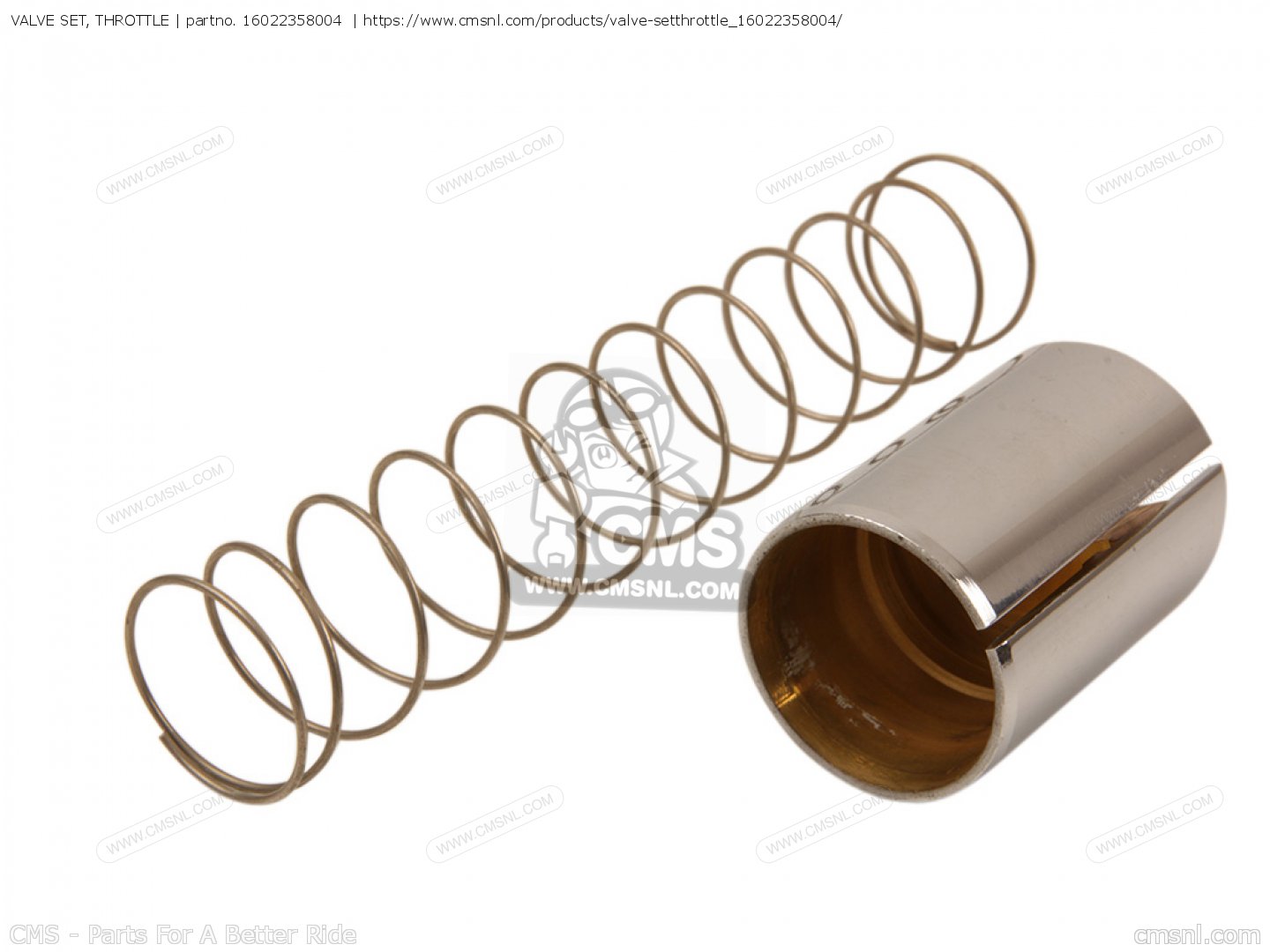 VALVE SET, THROTTLE for MR175 ELSINORE 1976 USA order at CMSNL