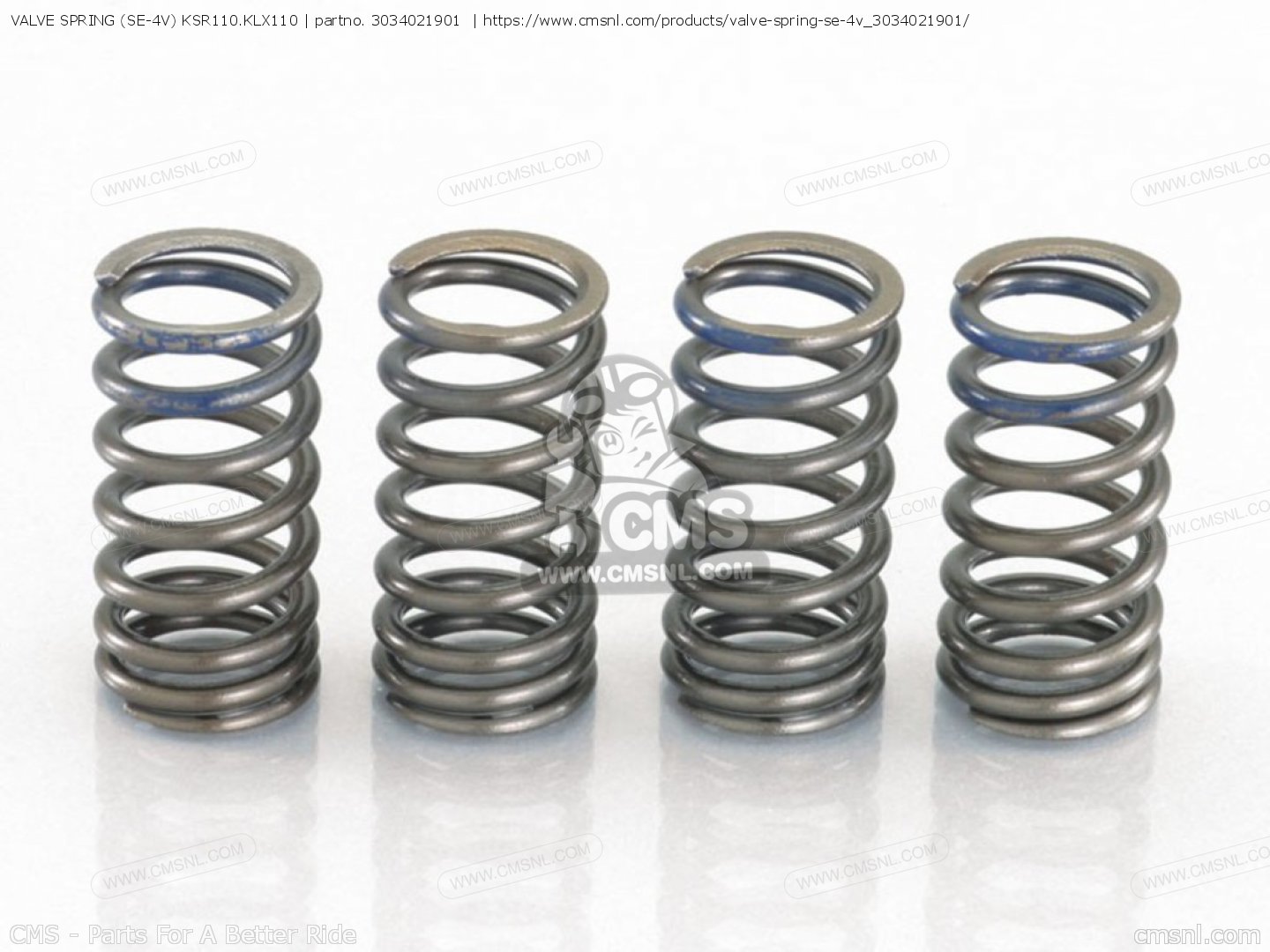 3034021901 Valve Spring (se4v) Ksr110.klx110 Kitaco buy the 303