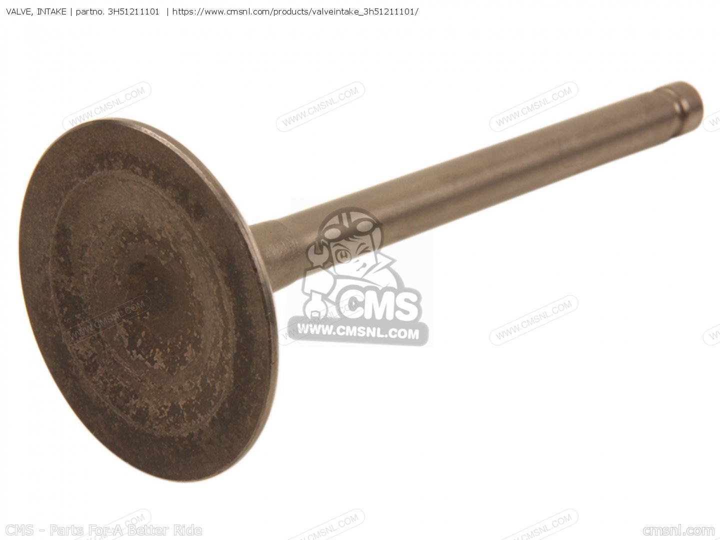VALVE, INTAKE for XS1100 1981 (B) USA order at CMSNL