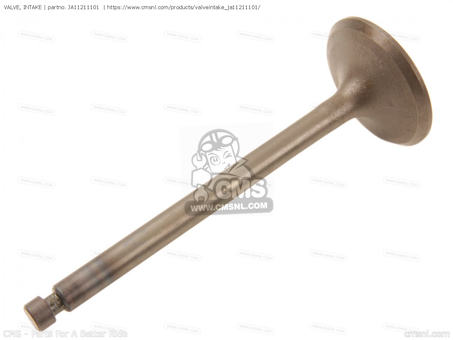 VALVE, INTAKE for YT3600M FRONT ENGINE LAWN TRACTOR 1988 order at CMSNL