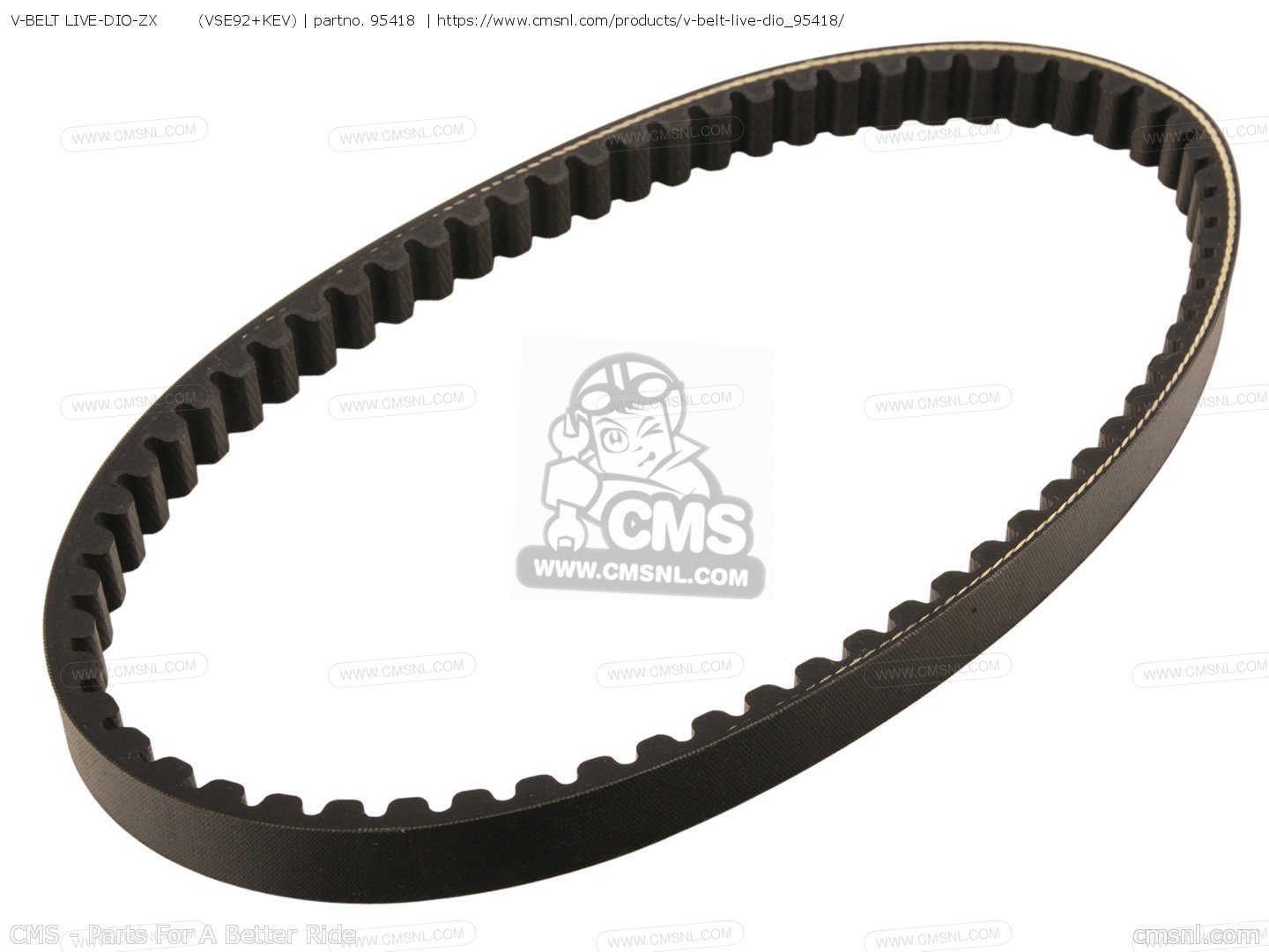 95418: V-BELT LIVE-DIO-ZX (VSE92+KEV) Daytona - buy the 95418 at CMSNL
