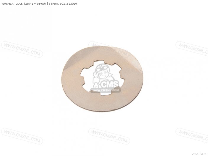 Washer, Lock (257-17464-00) photo