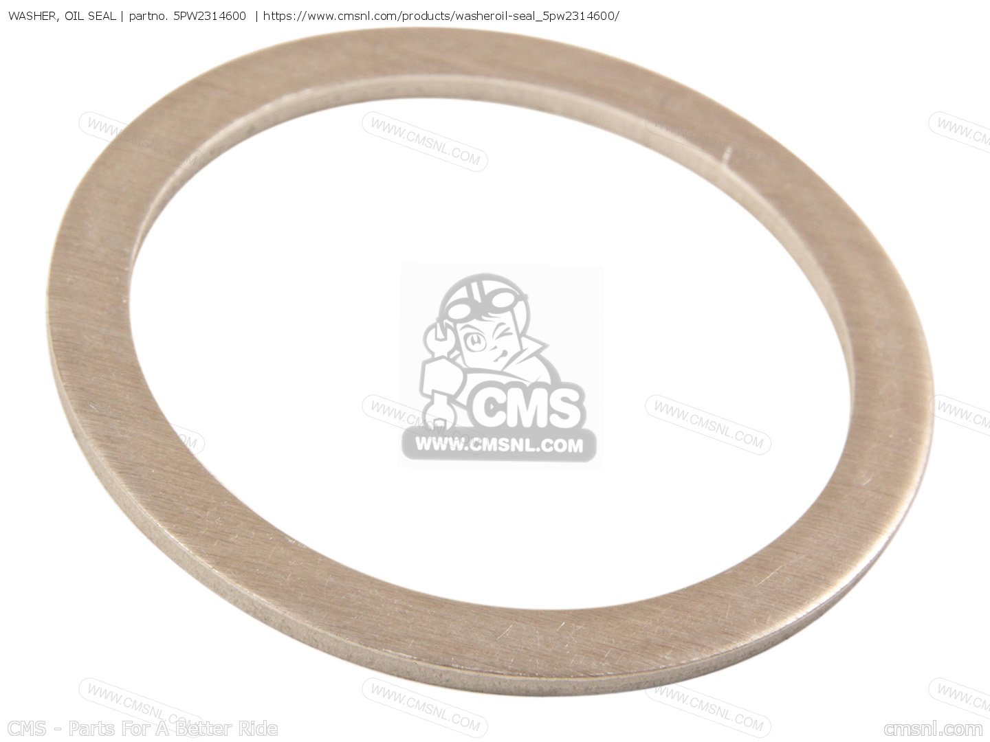 WASHER, OIL SEAL for YZFR1 2008 4C89 BELGIUM 1G4C8300E1 order at CMSNL