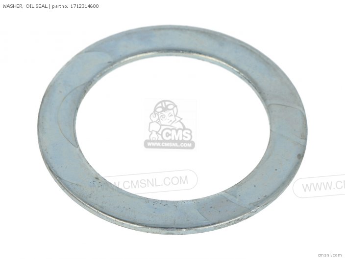 Washer, Oil Seal photo