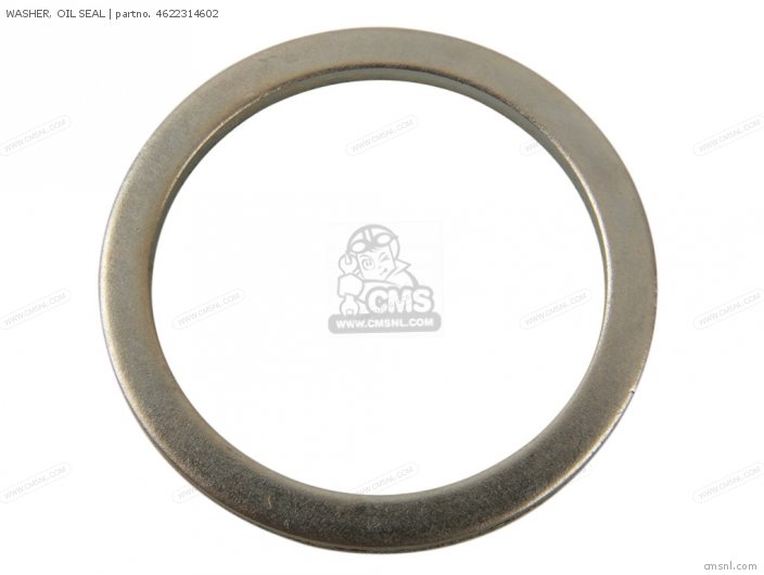 WASHER, OIL SEAL for DT100 1982 (C) USA order at CMSNL