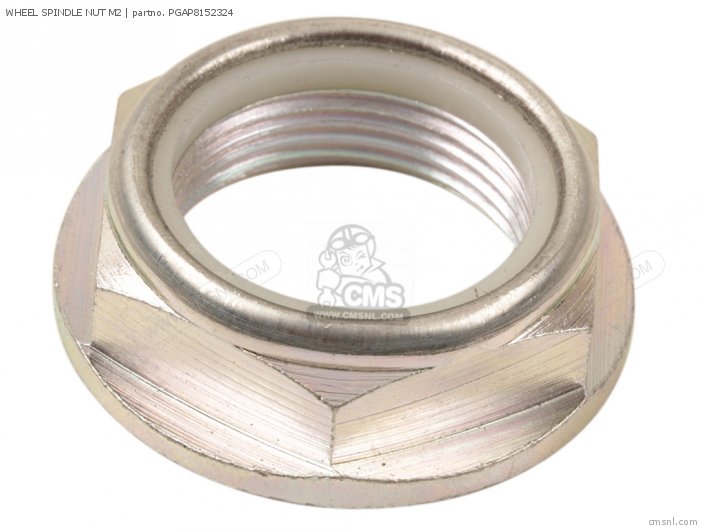 PGAP8152324 Wheel Spindle Nut M2 Piaggio Group buy the AP8152324 at