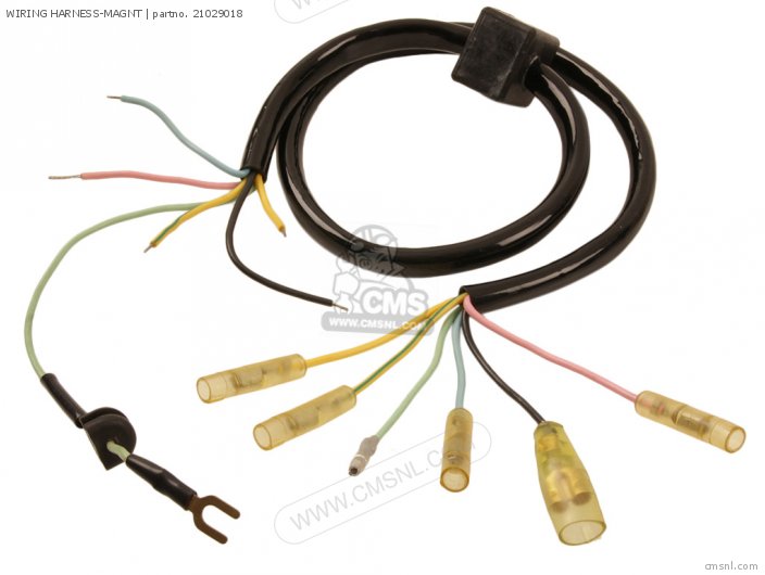 Kawasaki WIRING HARNESS-MAGNT 21029018