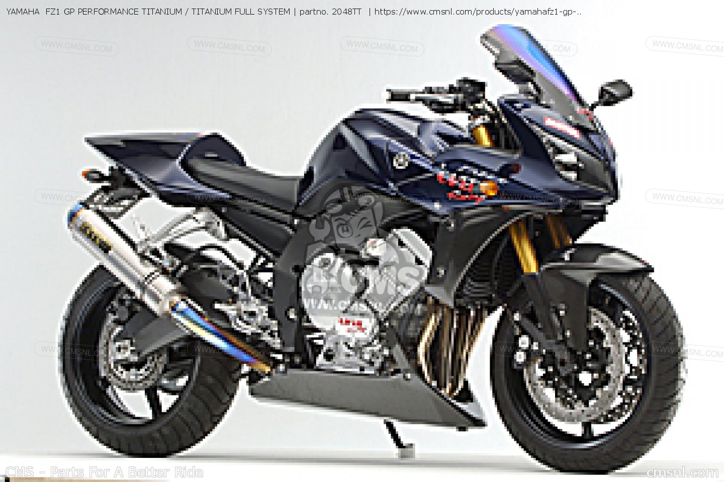 yamaha-fz1-gp-performance-