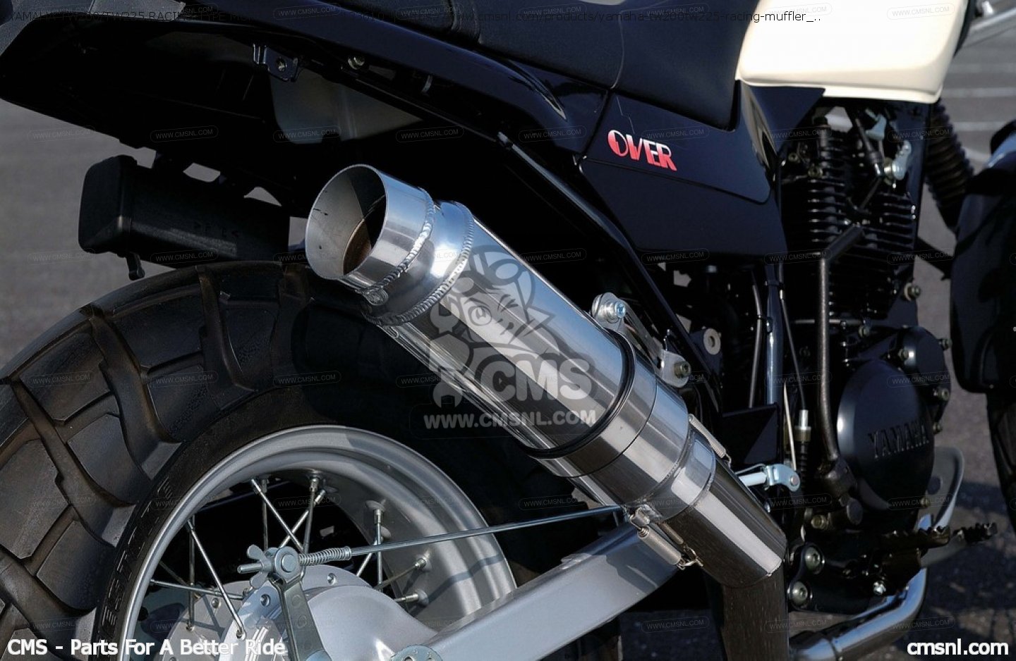 Tw200 muffler store