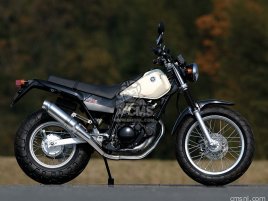 YAMAHA TW200/TW225 RACING-TYPE MUFFLER for Over Racing
